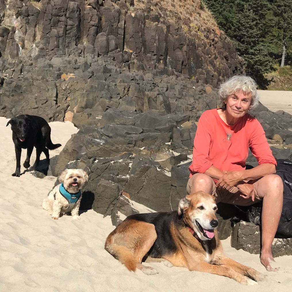 Woman seated on rocks on a beach with 3 dogs.